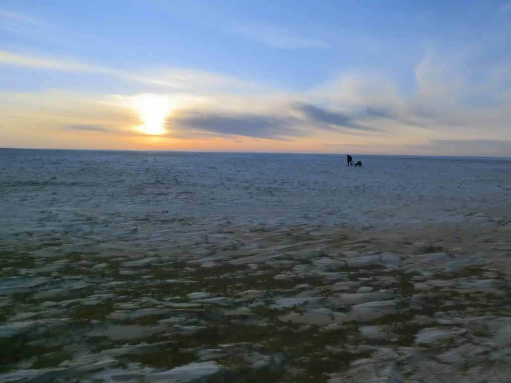 Walking the Gobi